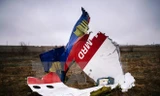 Mảnh vỡ máy bay MH17 tại khu vực gần làng Hrabove, Ukraine ngày 10/11/2014. (Nguồn: AFP/TTXVN)