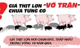 [ĐỒ HỌA] Giá thịt lợn “vỡ trận” vì sao?