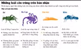 [ĐỒ HỌA] Những loài côn trùng ngon bổ hấp dẫn thực khách trên bàn nhậu