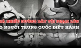 Phá nhiều đường dây tội phạm lớn do người Trung Quốc điều hành