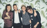 Chỉ ít ngày nữa thôi, One Direction sẽ tung video kỷ niệm 10 năm thành lập nhóm