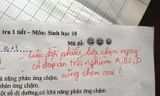 Ai mà không muốn vừa nhận điểm tốt vừa nhận lời động viên siêu dễ thương từ thầy cô chứ!
