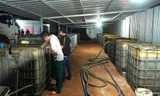 Công an đột kích cơ sở tái chế nhớt thải 'khủng' núp trong rừng cao su