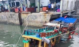 Tàu cá chìm khi đang neo đậu khiến thuyền viên tử vong