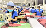 Tín hiệu lạc quan về tăng trưởng kinh tế Việt Nam năm 2024