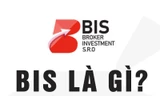 Kênh đầu tư tài chính BIS Holding đưa ra mức lợi nhuận từ 10-15% mỗi tháng trên tổng số tiền đầu tư để lôi kéo người mới.