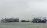 1 người tử vong, gần chục tàu thuyền bị chìm do bão số 9