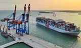 'Siêu tàu' container cập cảng Cái Mép - Thị Vải