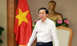 Không nên dựa quá nhiều vào nhân công giá rẻ, ưu đãi thuế để hút vốn FDI