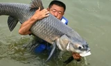 Con cá chép nặng 75 kg vừa cắn câu của ngư dân Trung Quốc.