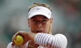 Sharapova hiện sở hữu khố tài sản vào khoảng 200 triệu USD.