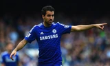Fabregas bị cảnh sát sờ gáy vì lái xe quá tốc độ.