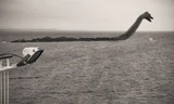 Dành một phần tư thế kỷ giải mã bí ẩn quái vật hồ Loch Ness