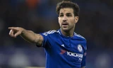 Fabregas có thể gia nhập M.U vào hè 2017.
