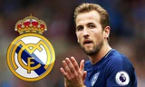 Harry Kane khó từ chối những lời mời từ Real Madrid. 