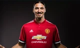 Zlatan Ibrahimovic chấp nhận giảm nửa lương để ký hợp đồng với M.U.