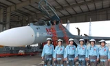 8X Việt lái 'hổ mang chúa' Su-30MK2