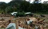 Hiện trường vụ sạt lở kinh hoàng khiến 11 người mất tích.