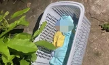 Bé trai sơ sinh bị bỏ rơi trong giỏ nhựa cùng tâm thư