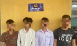 Bắt 4 thanh niên hiếp dâm 'hụt' nữ sinh 17 tuổi