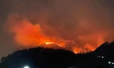 Cháy rừng ở Quảng Ninh, cả ngọn đồi đỏ rực như 'núi lửa'