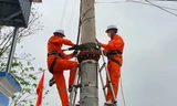 Quảng Ninh: Tiền điện tháng 6 tăng vọt, người dân kêu bất thường
