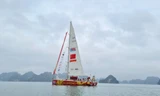 Cận cảnh dàn thuyền buồm vòng quanh thế giới đến vịnh Hạ Long