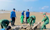 Thanh niên cùng chiến sĩ biên phòng dọn rác trên biển Trà Cổ
