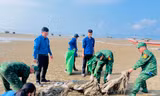 Thanh niên cùng chiến sĩ biên phòng dọn rác trên biển Trà Cổ