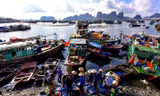 Quảng Ninh đóng cửa chợ đầu mối hải sản để chống dịch
