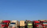 Hơn 1.000 container nông sản mắc kẹt tại cửa khẩu Móng Cái