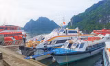 Quảng Ninh, Lạng Sơn khẩn cấp ứng phó bão số 1