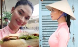 Hoa hậu Hoàn vũ Pia Wurtzbach mặc áo dài, đội nón lá ăn bánh mỳ ở Hội An 