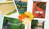 Teen TP.HCM "flex" trường cấp Ba theo màu sắc siêu đẹp, sĩ tử 2K9 ùa vào "xin vía"