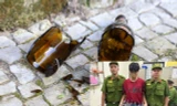 Hẹn bạn mang vỏ chai thủy tinh để ném người đi đường