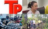 Bản tin Hình sự: Nguyên nhân gã trai trẻ đâm trọng thương người tình hơn tuổi 