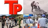 Bản tin Hình sự: Chiêu lừa chiếm đoạt hàng chục tỷ đồng của ‘cò đất’