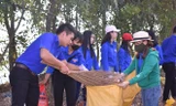 Tuổi trẻ Hậu Giang vệ sinh môi trường hưởng ứng Ngày Chủ nhật xanh Ảnh: TÐCC 
