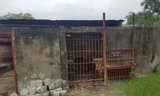 Chuồng hổ tại khu sinh thái Thanh Cảnh sơ sài