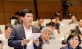 Ông Phạm Phú Quốc - Ảnh: NLĐ 