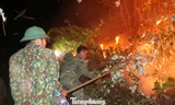 Cán bộ, chiến sĩ Tiểu đoàn Đặc công 31 (Bộ Tham mưu Quân khu 4) chữa cháy rừng ở huyện Nghi Xuân, Hà Tĩnh