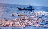 Hàng hóa trôi nổi khắp mặt biển