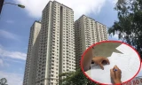 Cư dân chung cư Mường Thanh lo 'sổ đỏ' còn giá trị hay thành giấy lộn