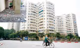 Nhiều khu tái định cư xuống cấp 