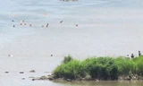 Tìm thấy thi thể cuối trong vụ 4 học sinh đuối nước trên sông Ba