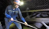 Trần Duy Quỳnh trong một ca sản xuất tại Công trường Khai thác chế biến 3, Công ty CP Than Hà Lầm - Vinacomin. Ảnh: Phạm Thanh Tùng