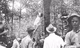 Leo Frank bị hành hình.