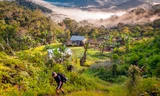 Du khách trekking trong rừng rậm ở Papua New Guinea. Ảnh: NatGeo
