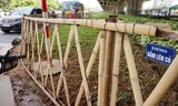 Những hàng rào như vườn quê giữa phố Thủ đô