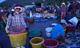 Cuộc mưu sinh của những nữ 'cửu vạn' ở chợ cá Xuân Cảnh